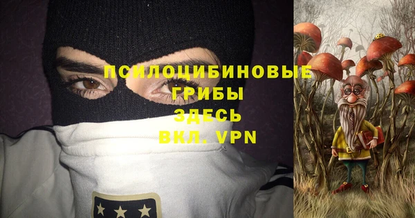трава Елабуга