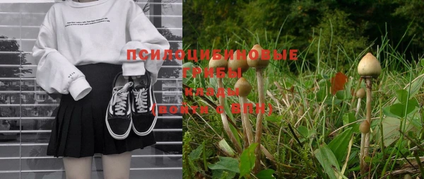 метадон Ельня