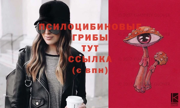 трава Елабуга