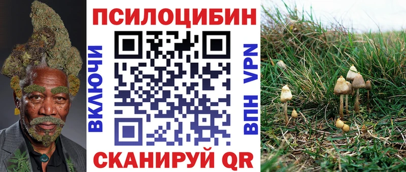 Галлюциногенные грибы MAGIC MUSHROOMS  Купить  Наволоки 